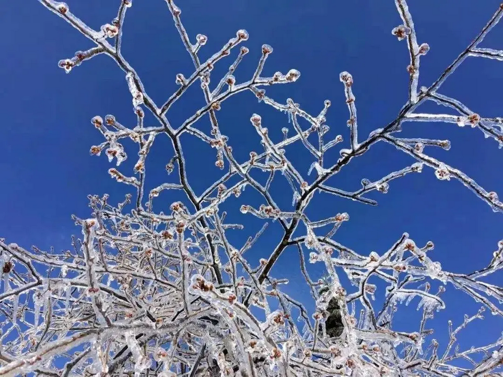 南方雪乡云冰山+金子山_11