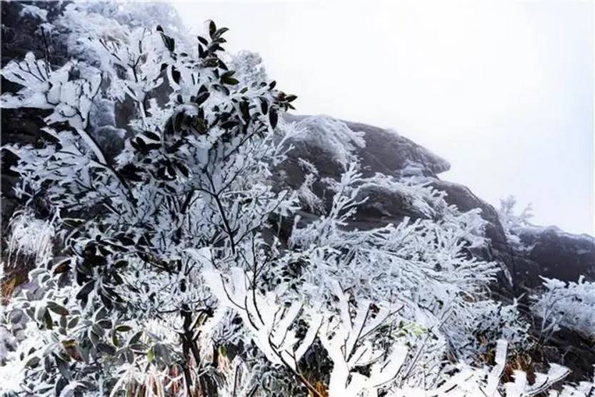 南方雪乡云冰山+金子山_03