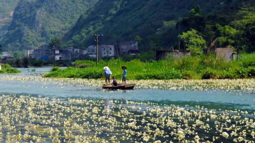 柳州河池3天_25